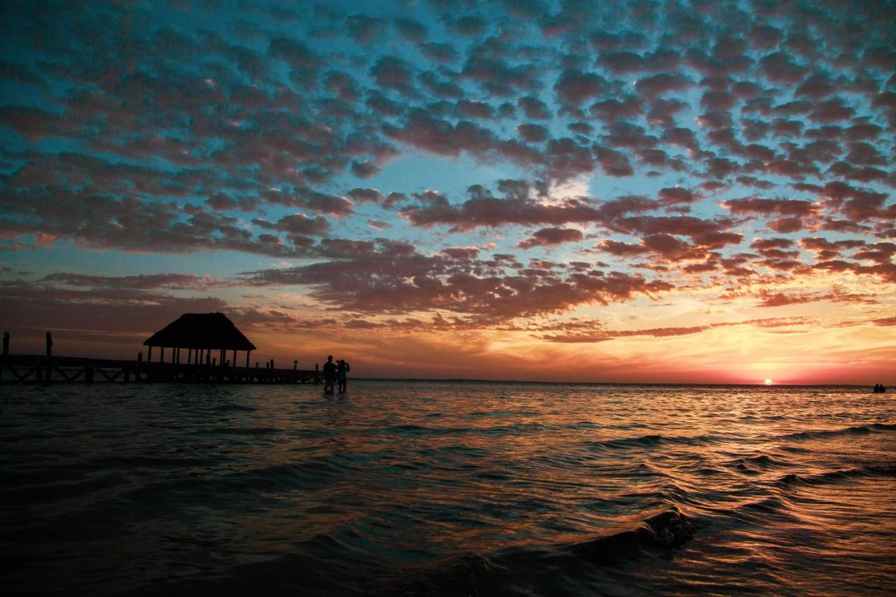 Che Holbox Hostel & Bar Adults Only Kültér fotó